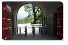 ������Ʊ